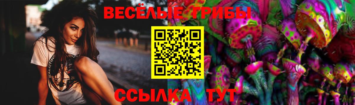 Сухой Лог  Галлюциногенные грибы Magic Shrooms  Вход с VPN 